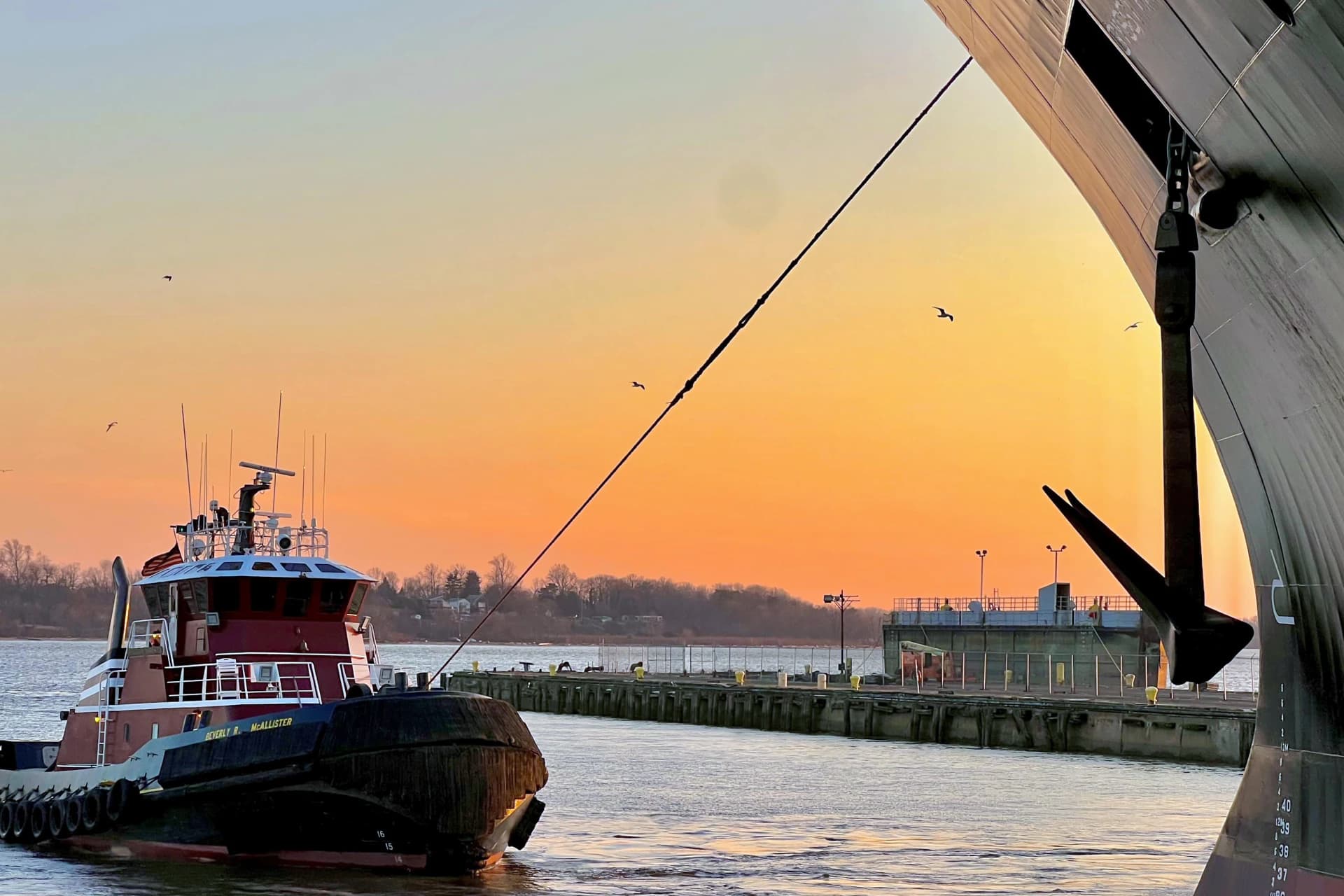 Homepage Header Image