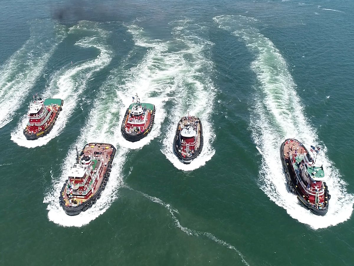The tug fleet of Portland Tugboat.